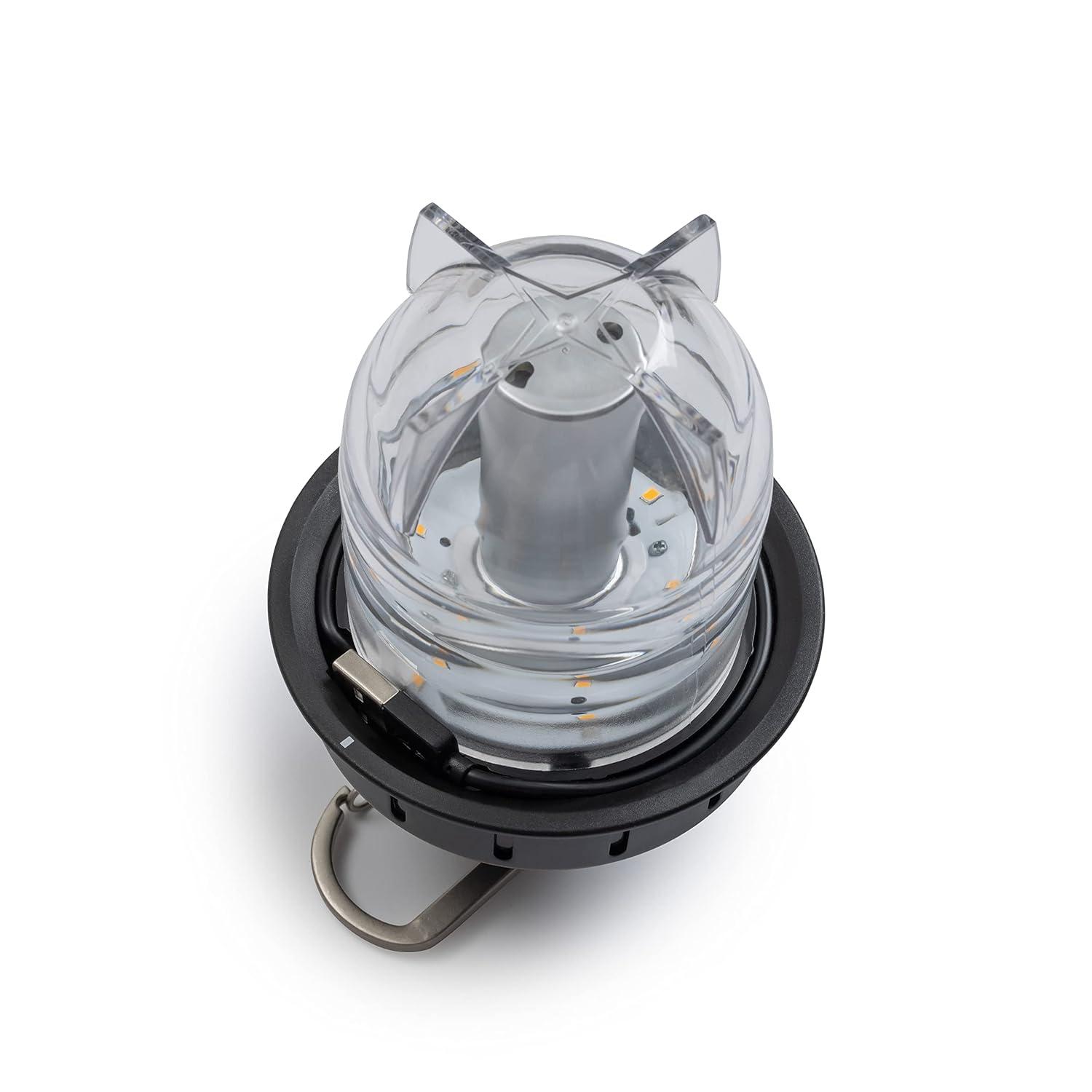 Barebones Beacon Hanging Light