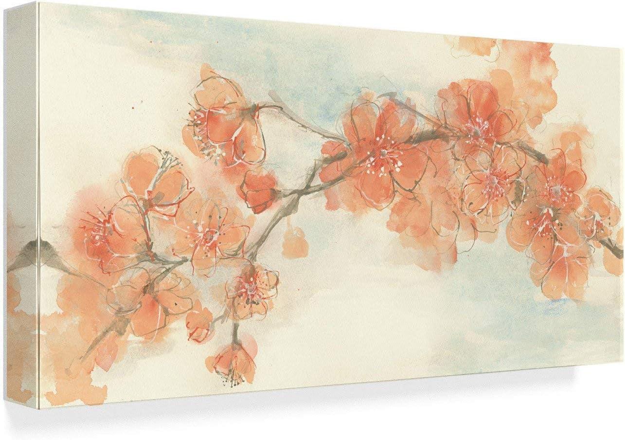 Trademark Fine Art -Chris Paschke 'Peach Blossom Ii' Canvas Art - 12x24