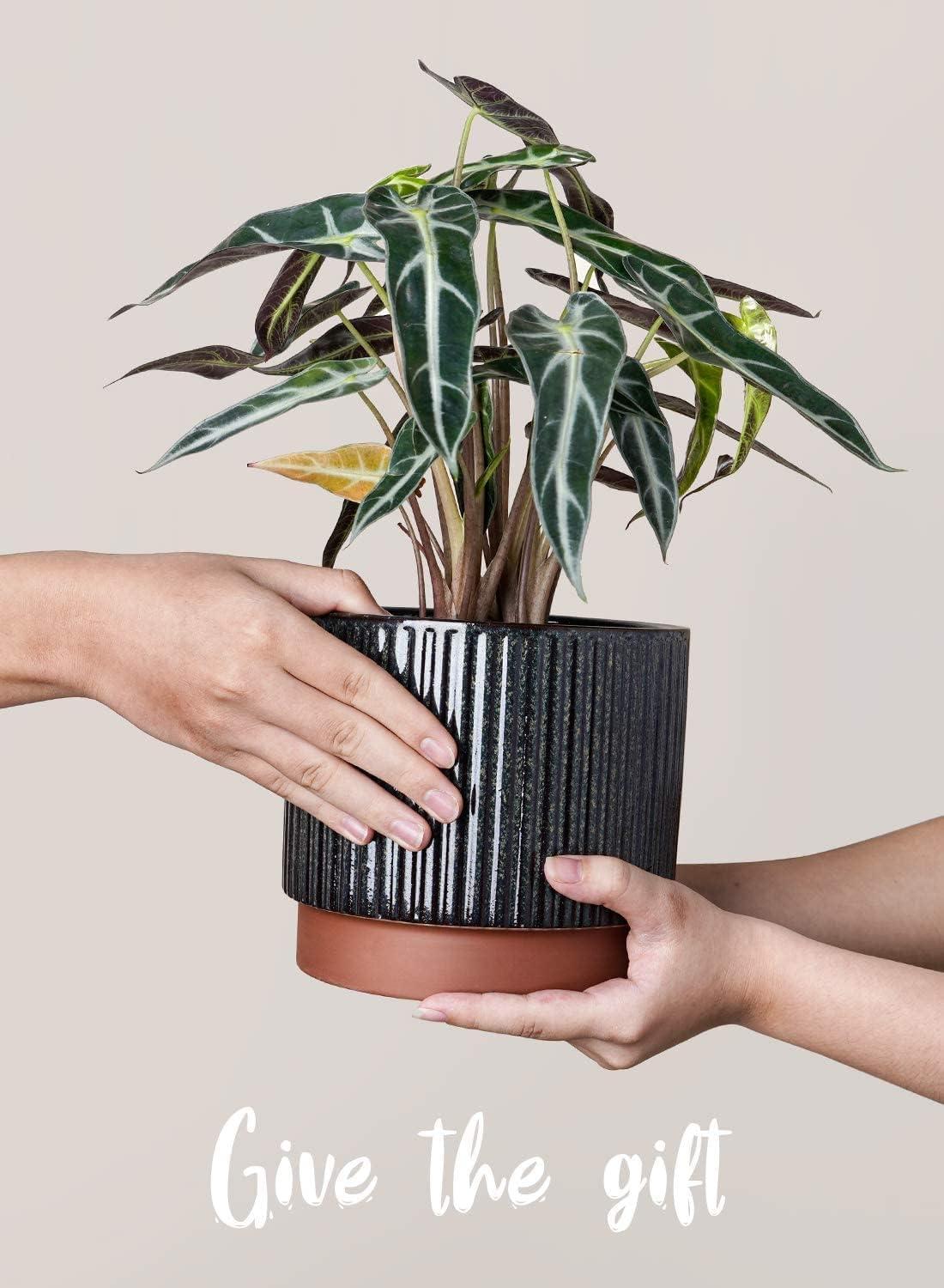 Reactive Glaze Black Ceramic Stripe Round Planter Set with Drainage Holes