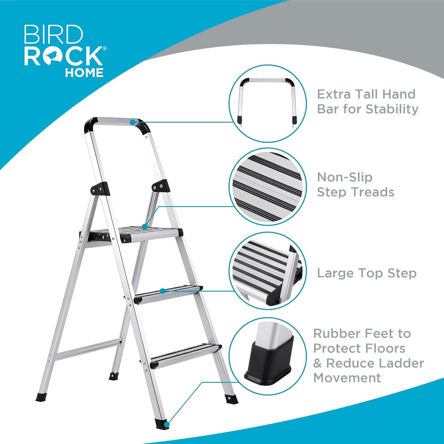 BirdRock Home 2 - Step Plastic Folding Step Ladder