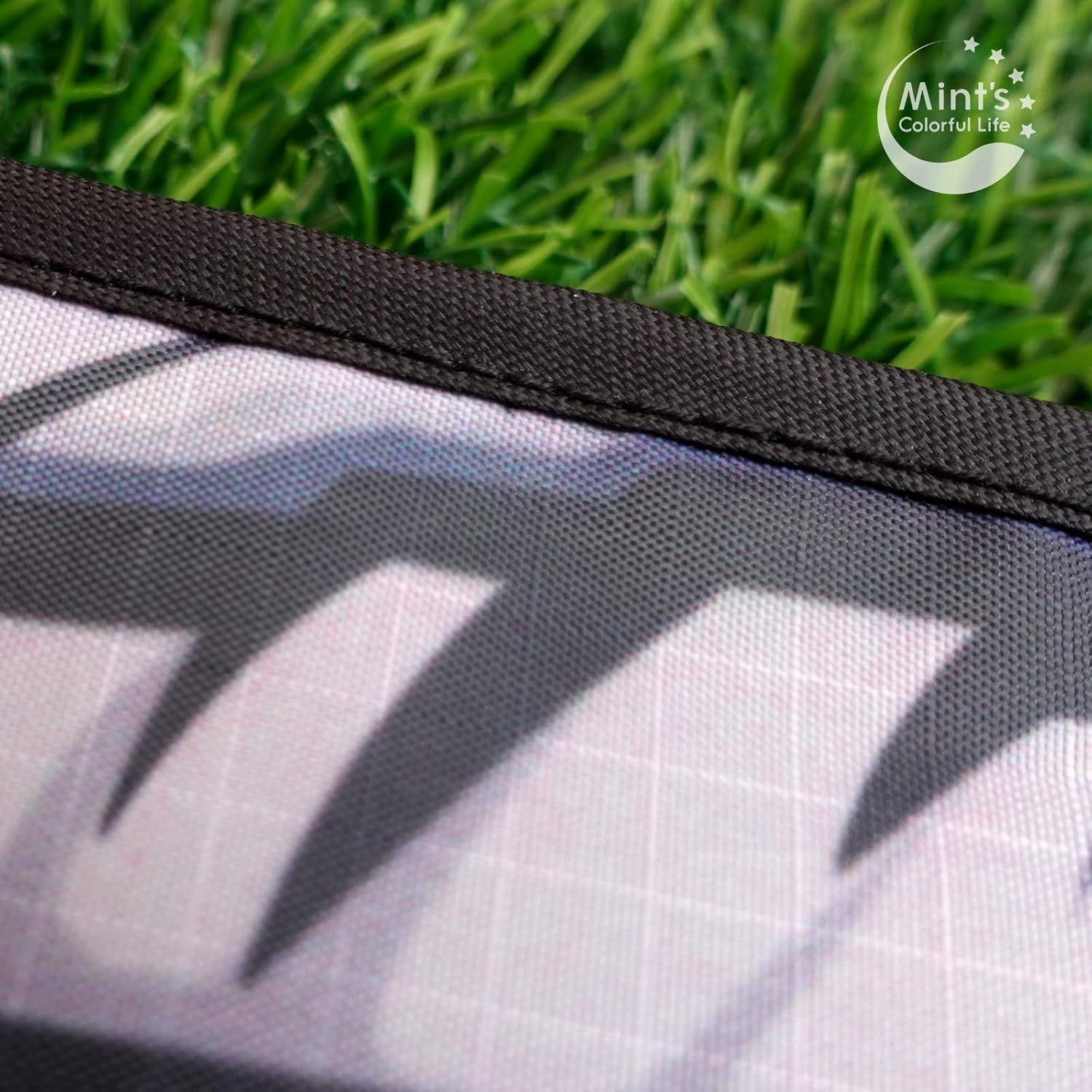 Mint s Colorful Life Eagle Kite for Kids Adults with 60 Wingspan