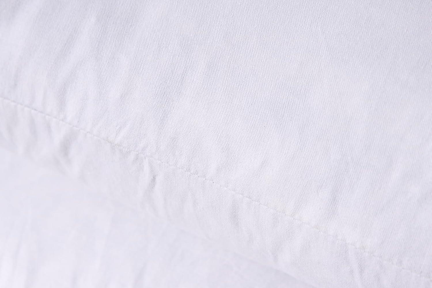 Phantoscope 12" x 20" Reversible Pillow Inserts (Set of 2)