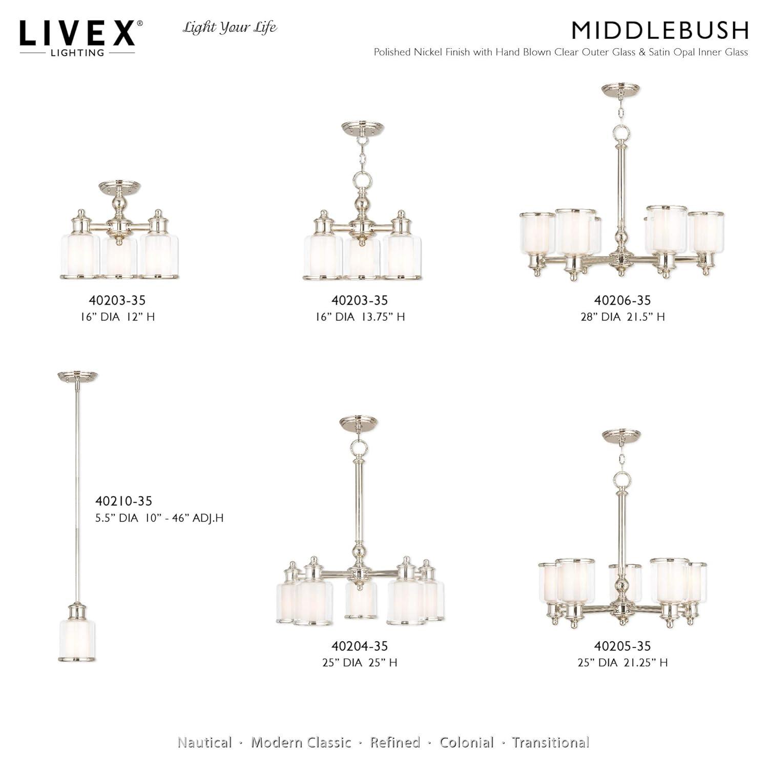 Middlebush 5-Light Polished Nickel Chandelier with Double Glass Shades