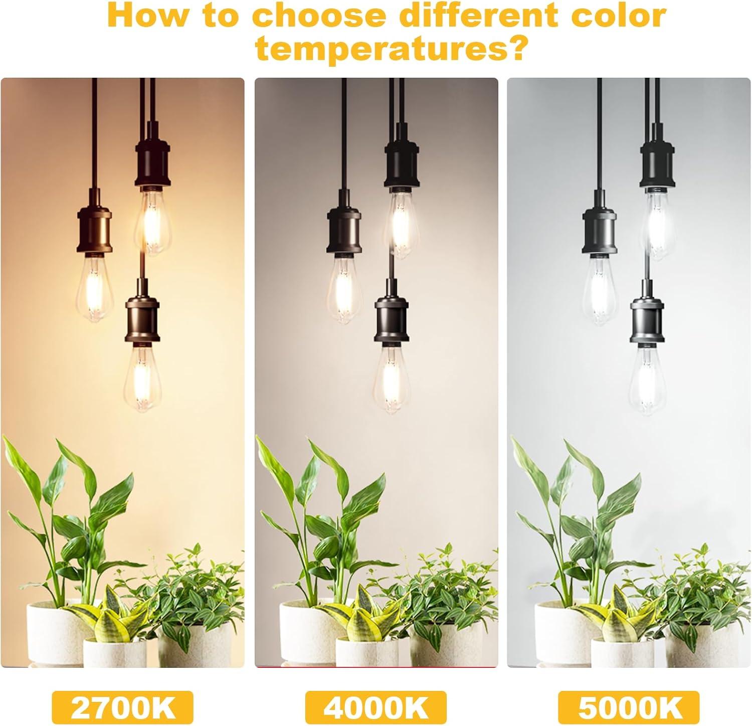 KY Vintage LED Edison Bulbs 6W, Equivalent 60W Incandescent, Warm White 2700K, ST58 Antique LED Filament Bulbs with 90+ CRI, E26 Medium Base,Dimmable, Clear Glass, Pack of 6