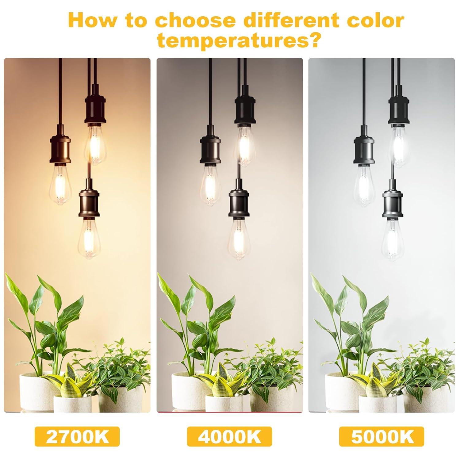 KY Vintage LED Edison Bulbs 6W, Equivalent 60W Incandescent, Warm White 2700K, ST58 Antique LED Filament Bulbs with 90+ CRI, E26 Medium Base,Dimmable, Clear Glass, Pack of 6