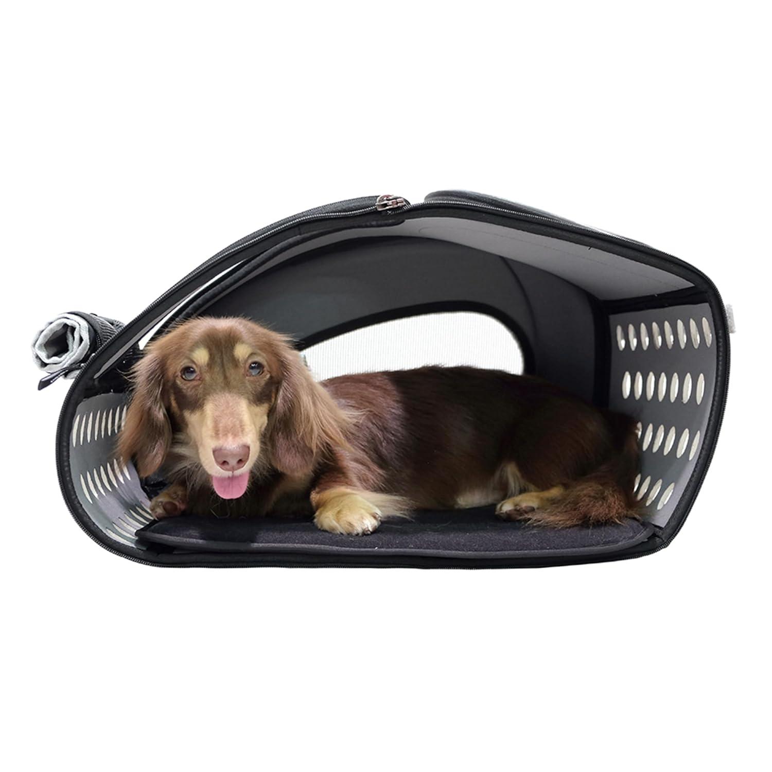 Ibiyaya 5-in-1 EVA Pet Carrier-Stroller