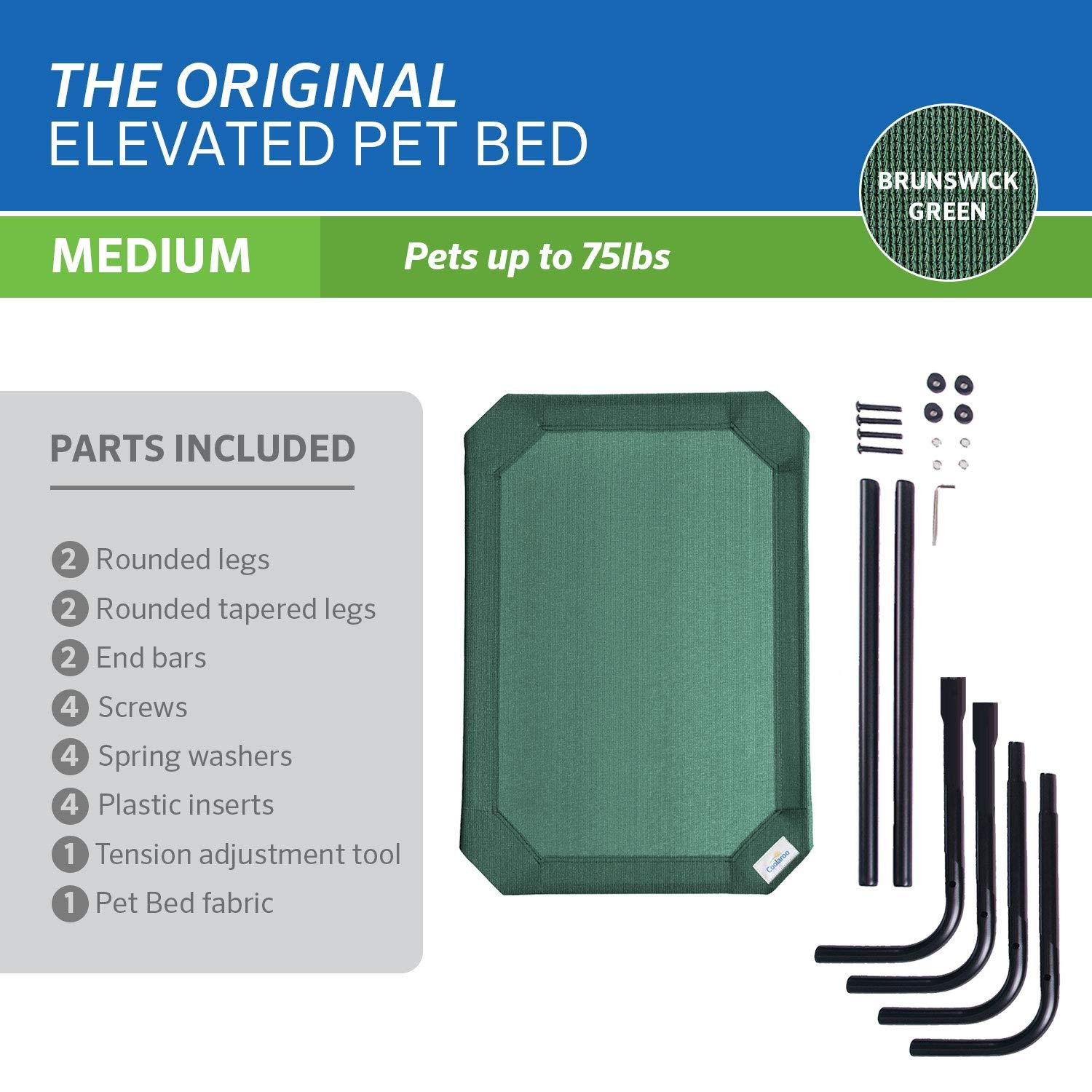 The Original Coolaroo Elevated Pet Dog Bed for Indoors & Outdoors, Medium, Green