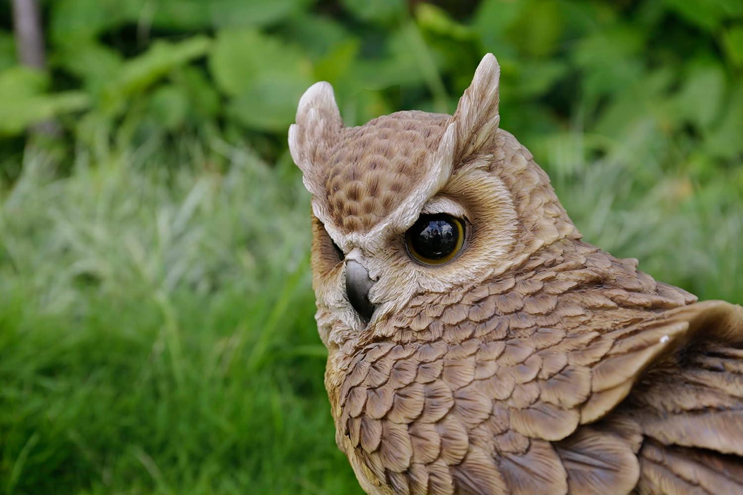 LARGE LONG EARED OWL ON STUMP WITH FLUFFED FEATHERS