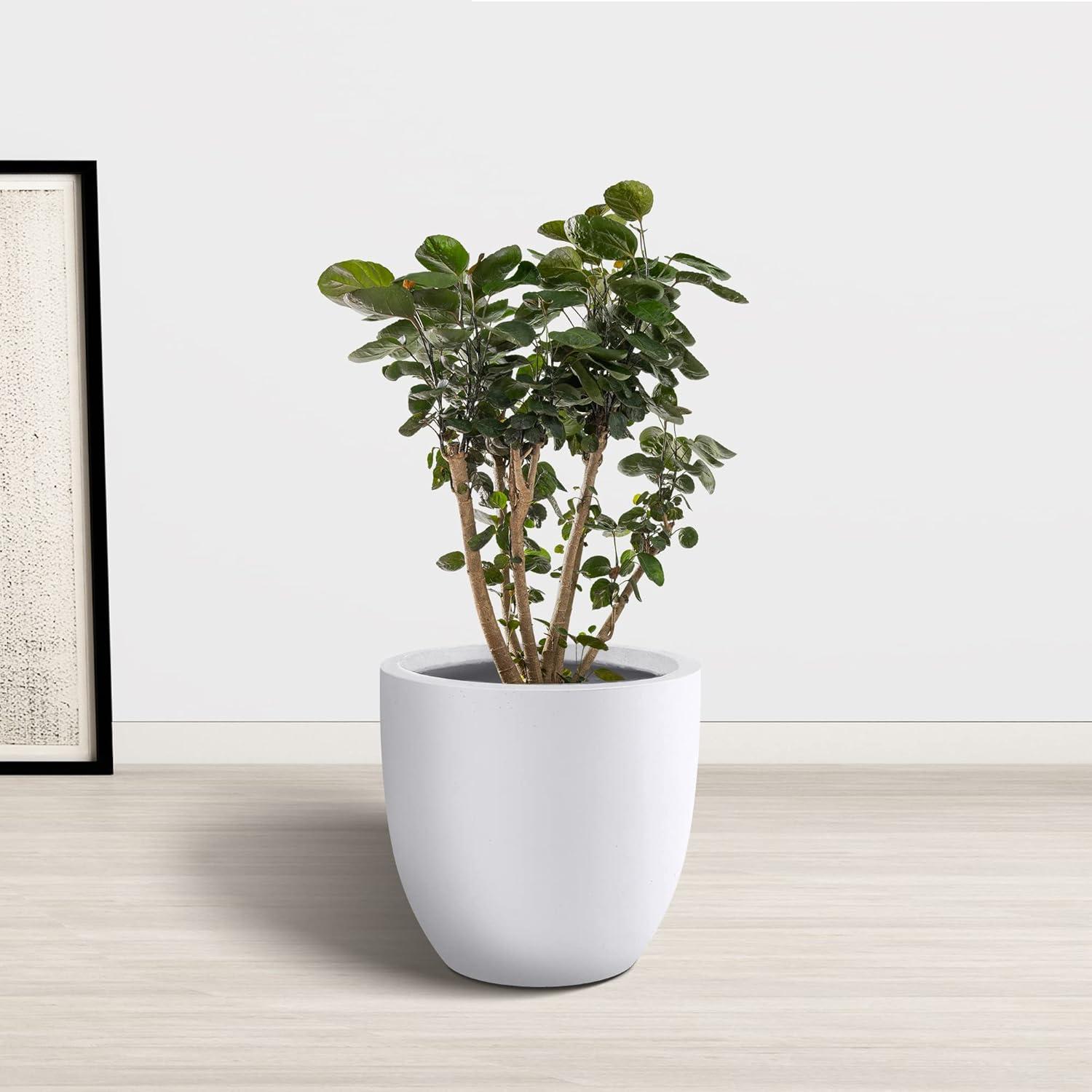 Kante  12 in. Tall Lightweight Concrete Indoor/Outdoor Round Planter white