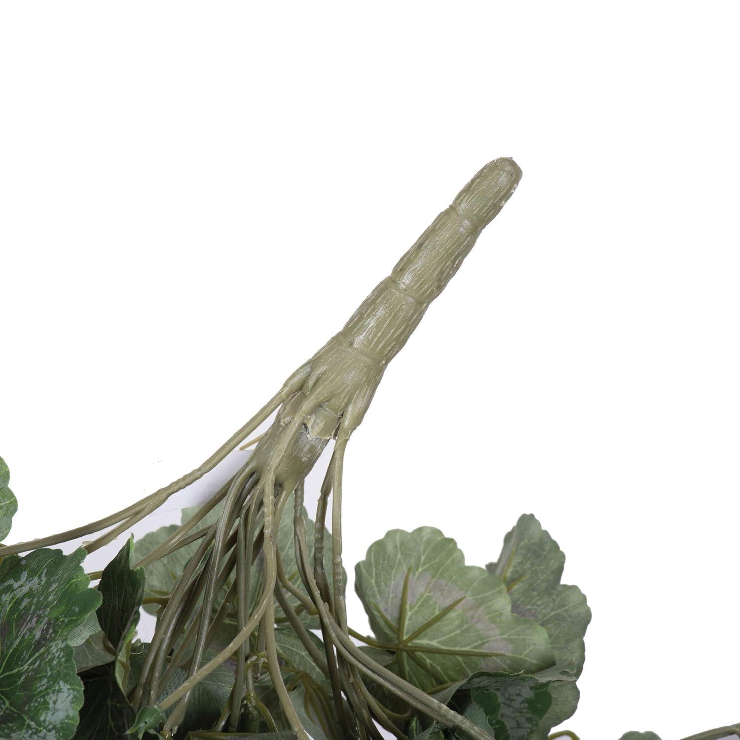 Primrue Geranium Stem