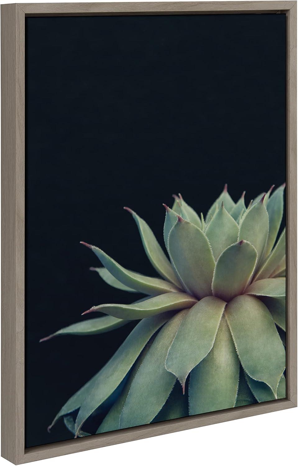 Gray Framed Succulent Canvas Wall Art, 18x24