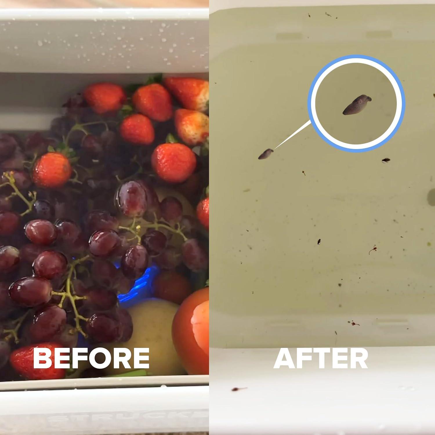 AquaPure AquaPure - Fruit and Vegetable Washing Machine, USB-Rechargeable Produce Purifier 3.94 x 1.97 in