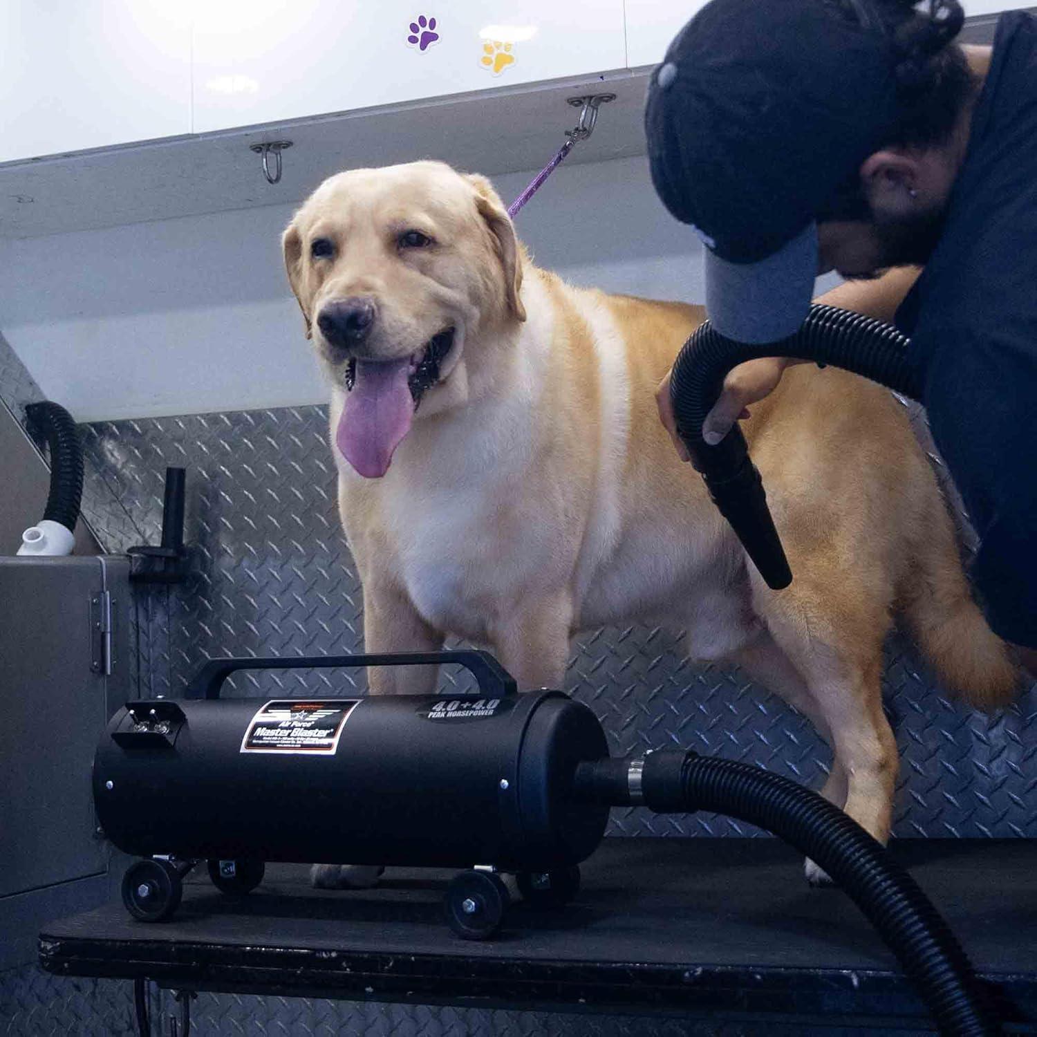 Black Steel Air Force Master Blaster Pet Dryer with Hose