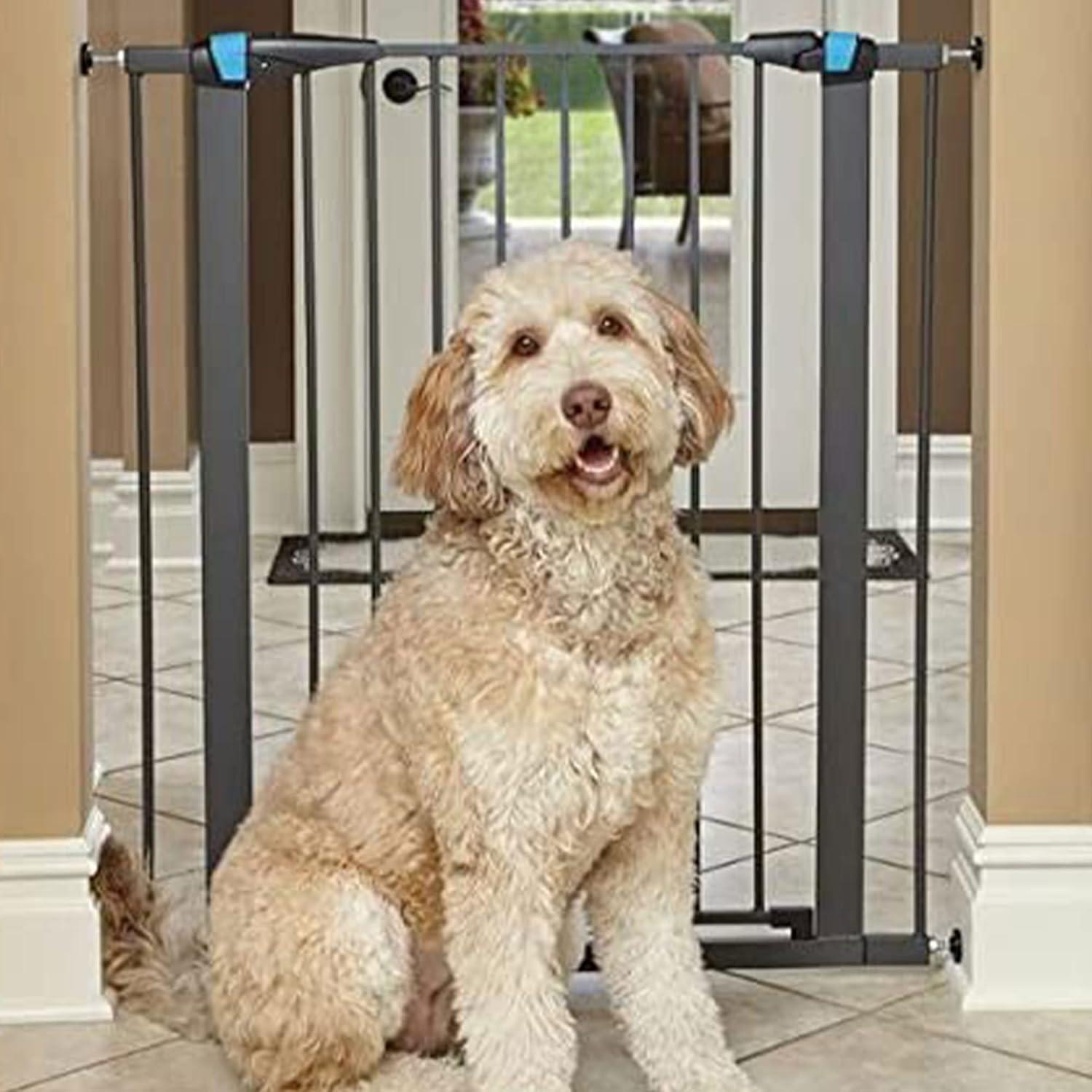 Midwest Homes For Pets MidWest Homes for Pets Gate/ Walk-thru Steel Pet Gate
