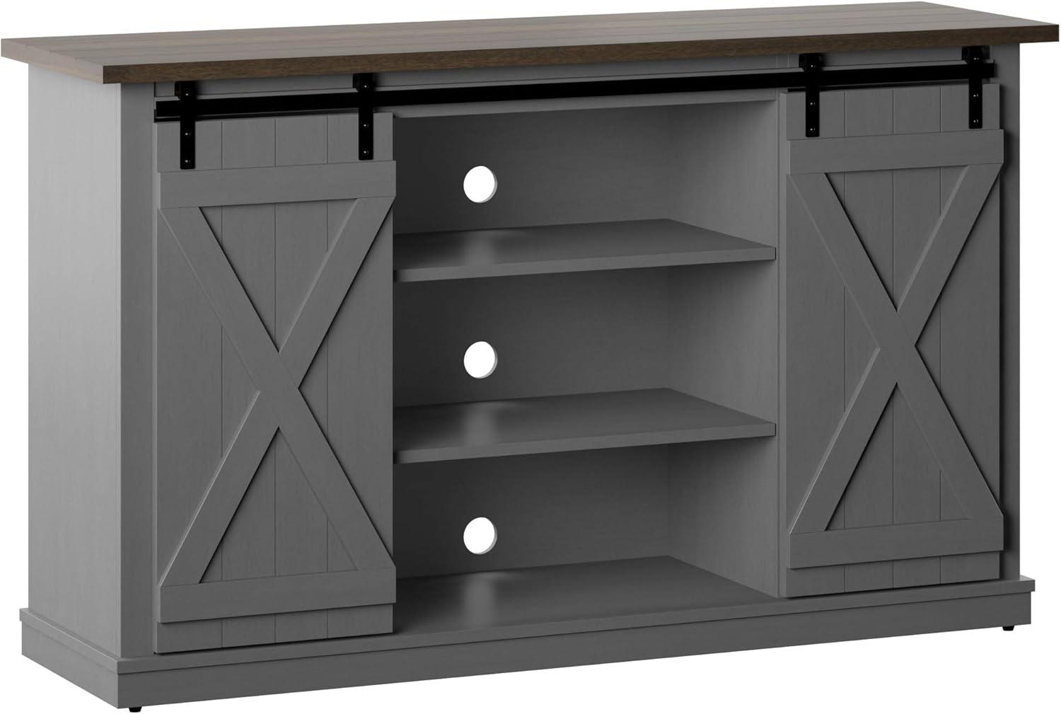 Twin Star Home Terryville Barn Door TV Stand for TVs up to 60", Dark Gray