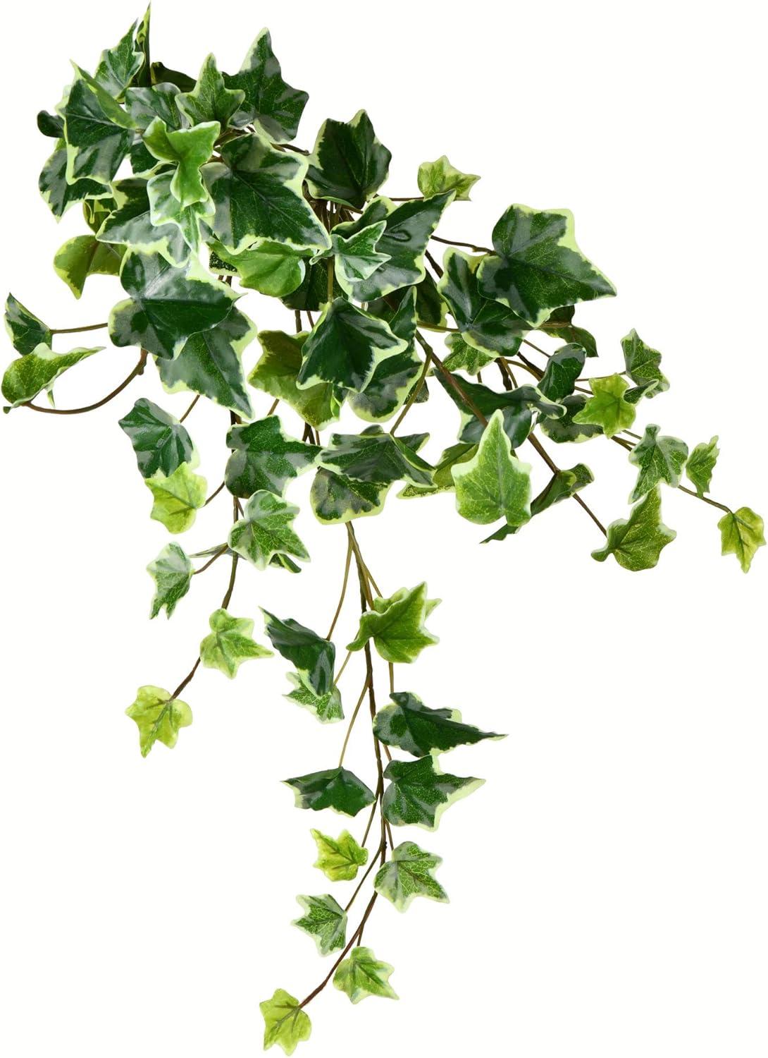 Vickerman Artificial Varigated Ivy Hanging Bush