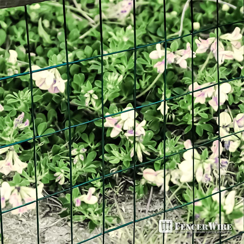 Fencer Wire Fencer Wire Vinyl Coated 16 Gauge Welded Fence Wire Roll, Mesh Size 2-Inch x 3-Inch