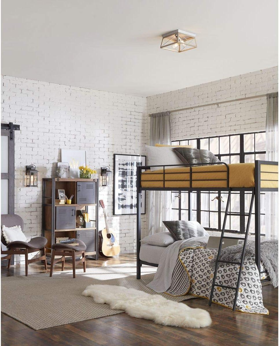 Progress Lighting Briarwood 2-Light Flush Mount, Galvanized Steel, Faux-Painted Wood Enclosure