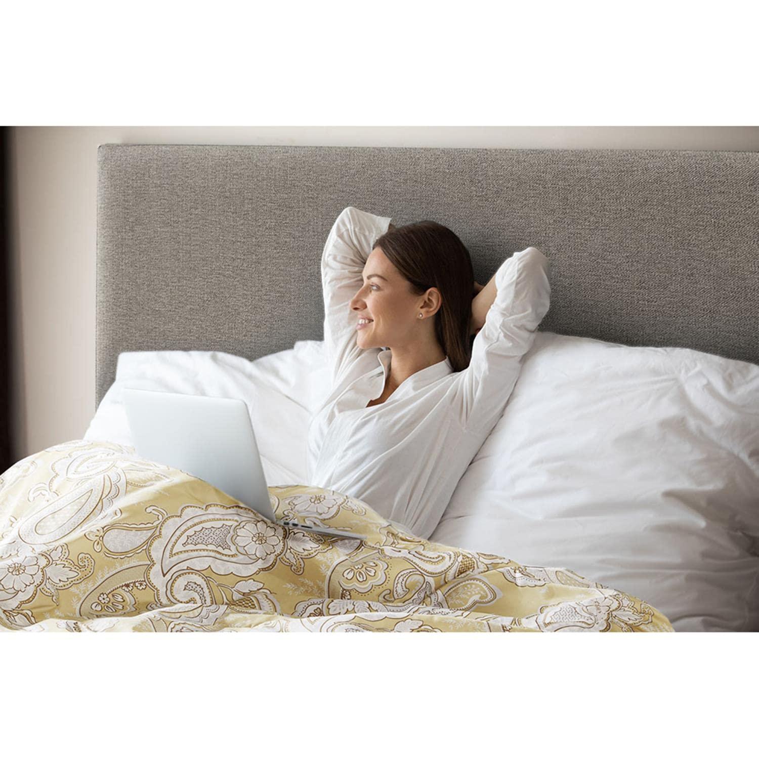 Madison Park Essentials Gracelyn Paisley Print Comforter Set with Sheets