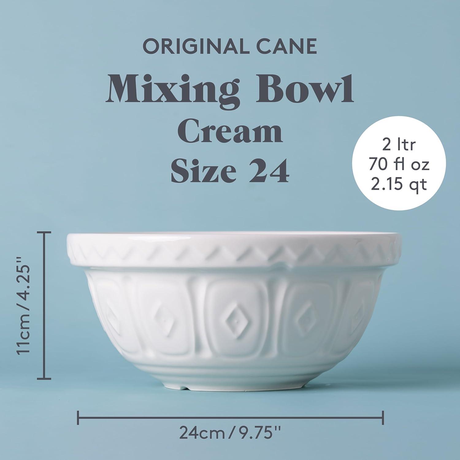 Mason Cash Color Mix Earthenware Mixing Bowl