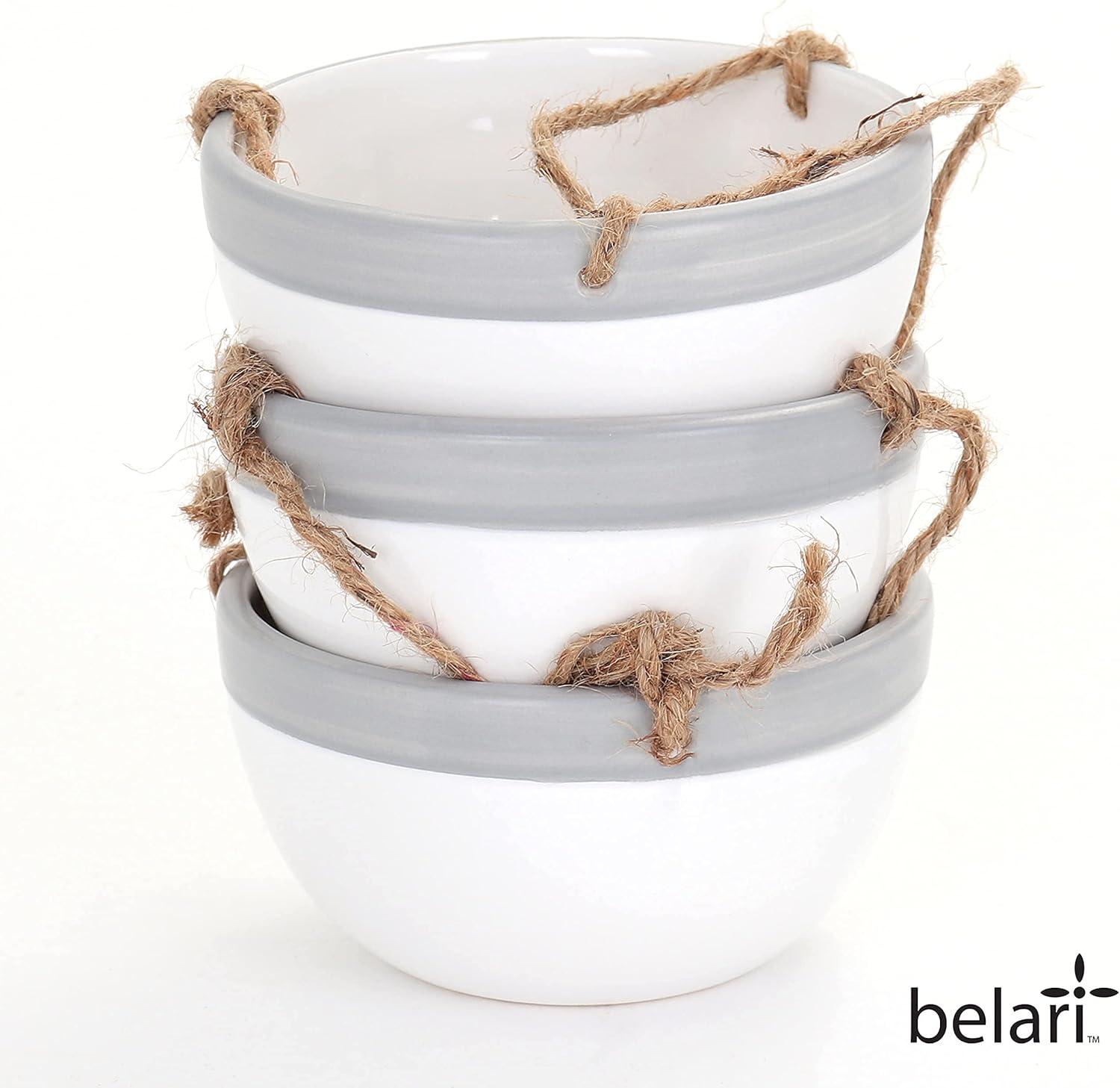 Belari Ceramic Hanging Planter