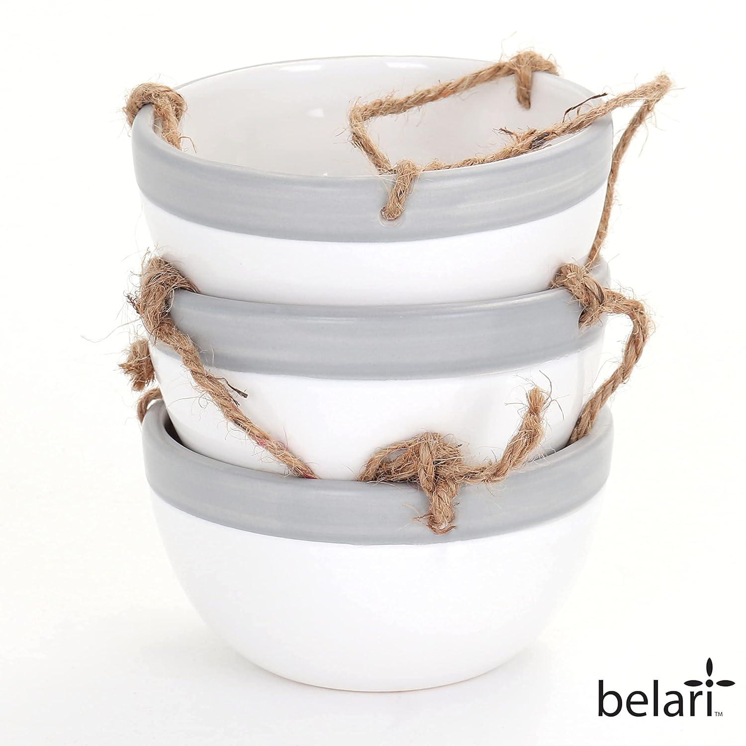 Belari Ceramic Hanging Planter