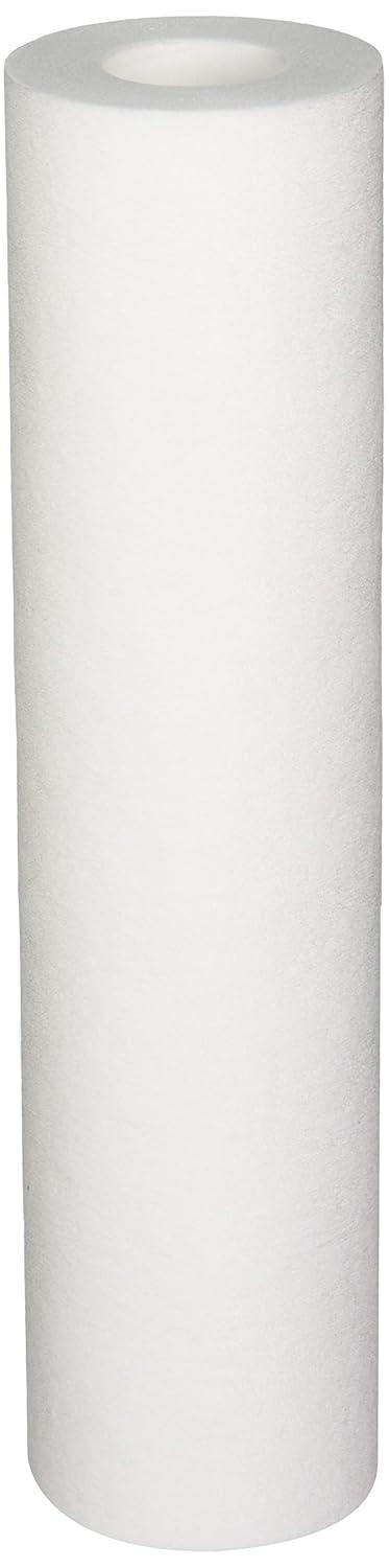American Plumber W5P Whole House Sediment Filter Cartridge (2-Pack)