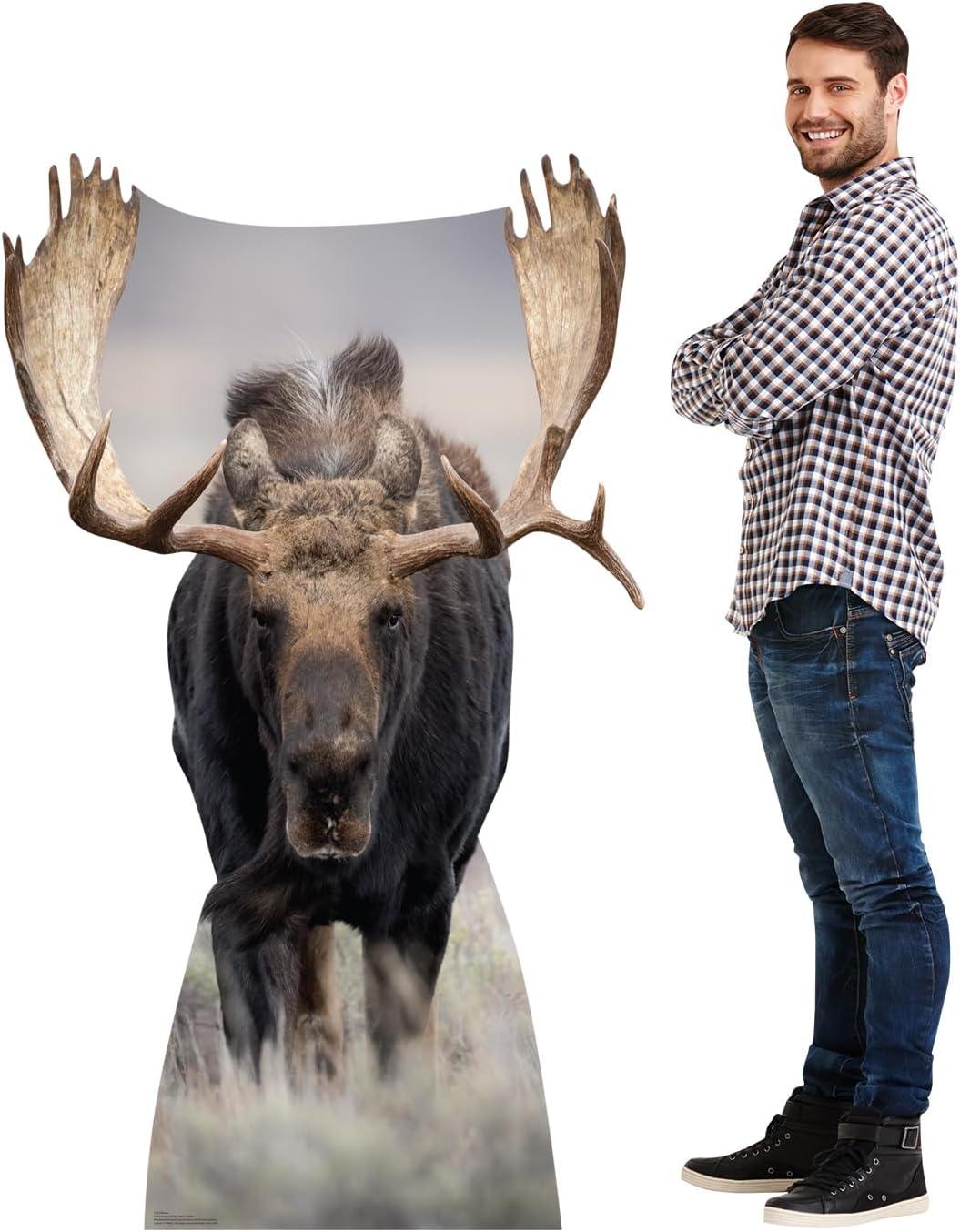 63 x 37 in. Moose Life-Size Cardboard Cutout