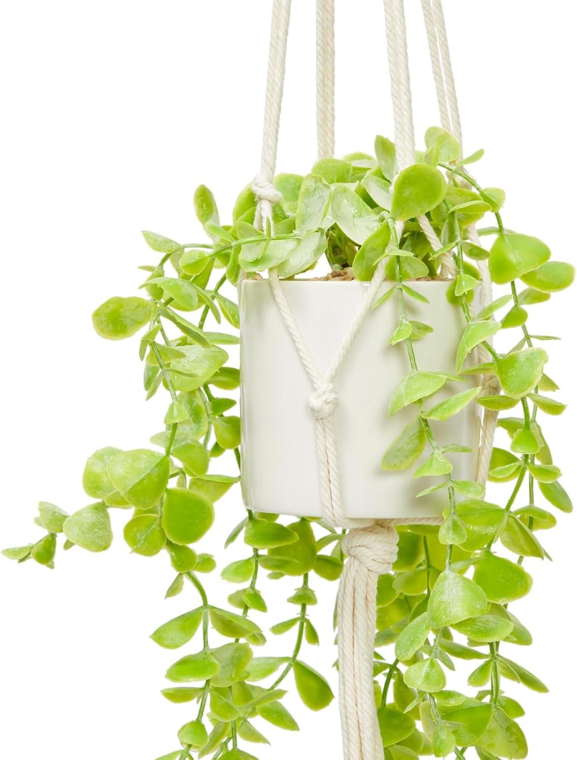 Verdant Bliss 31" Silk Eucalyptus in White Ceramic Pot with Macrame Hanger