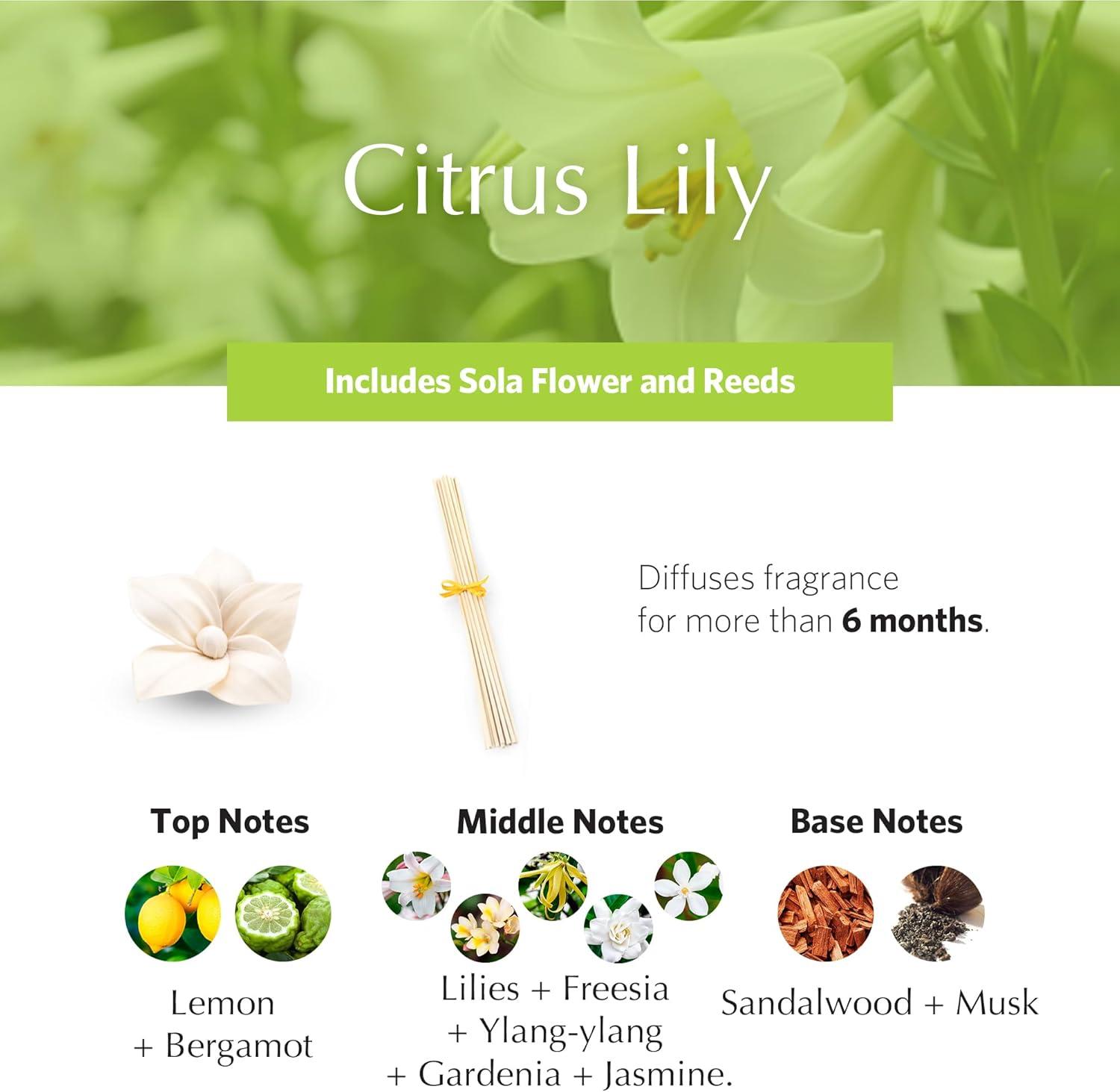 Citrus Lily PetiteEssence Aromatherapy Reed Diffuser, 1.7 oz