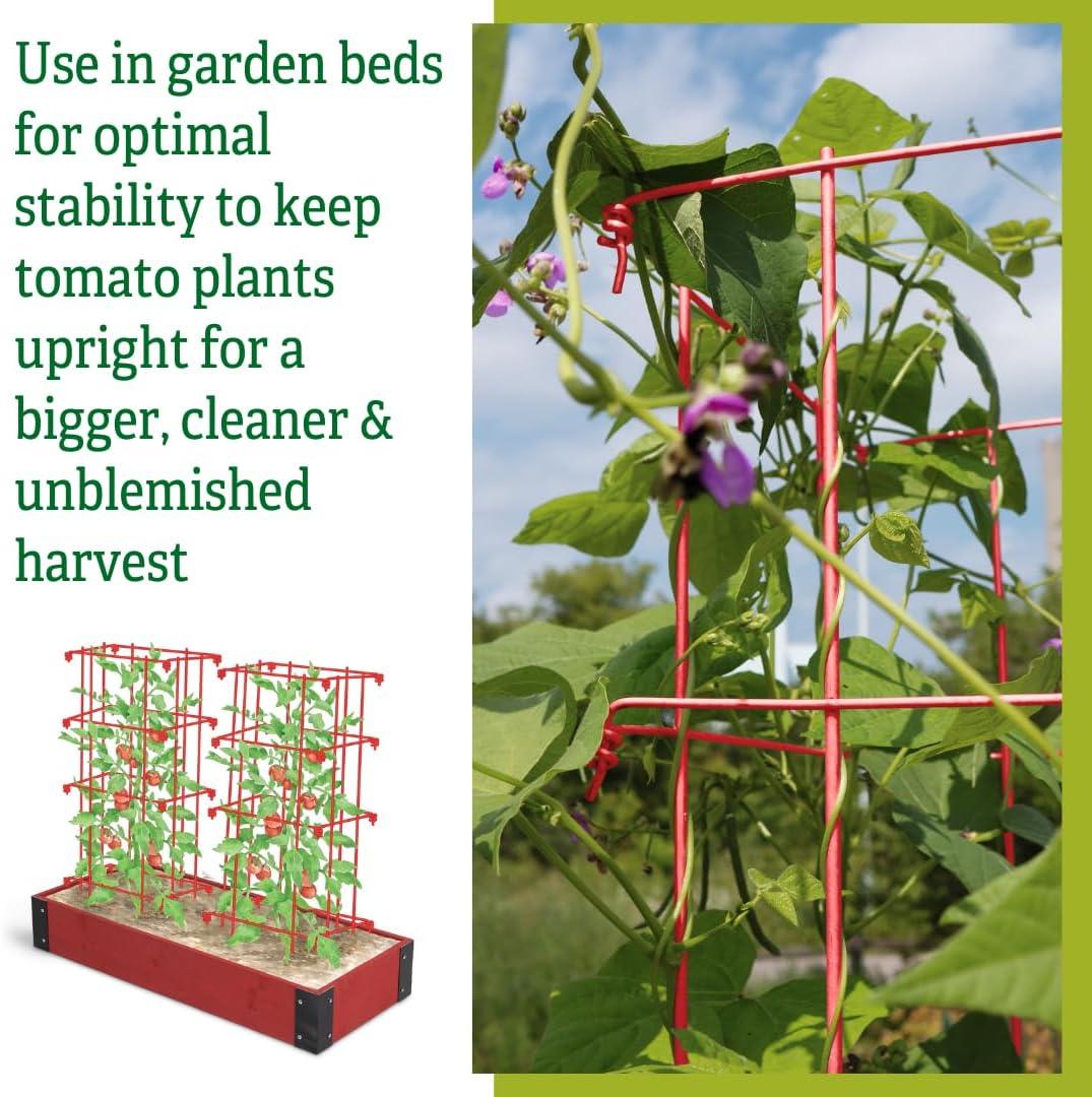 Gardener's Supply Company Single Steel Tomato Cage 32 Inch High - Red