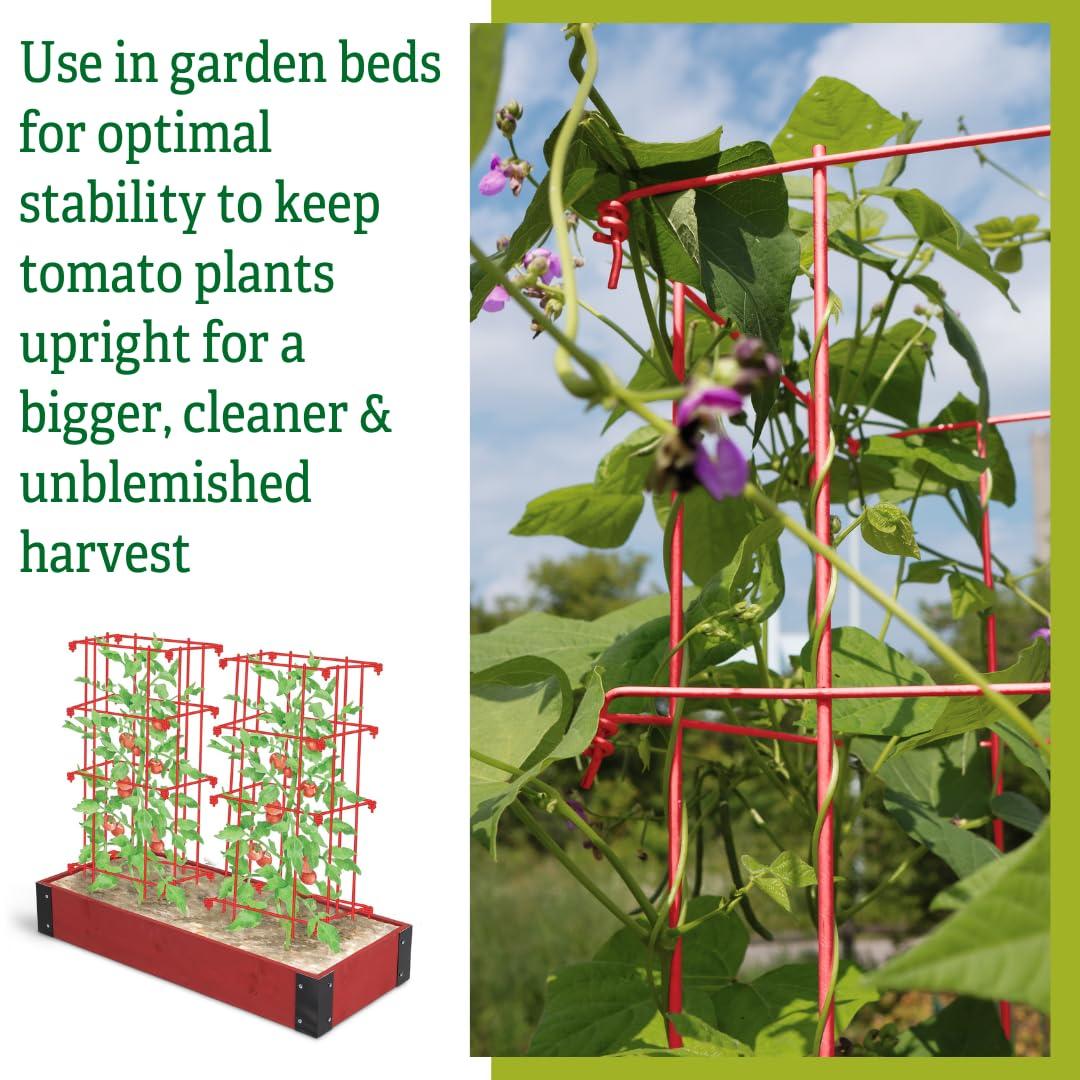 Gardener's Supply Company Lifetime Tomato Cage Plant Stand | 32" High Sturdy Steel Garden Plants Support for Tomatoes and Other Climbing Plants | No