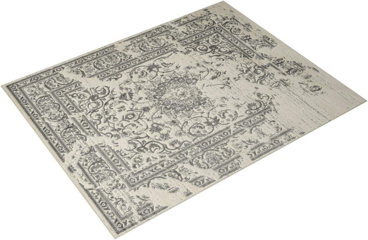 Adirondack ADR101 Power Loomed Area Rug  - Safavieh