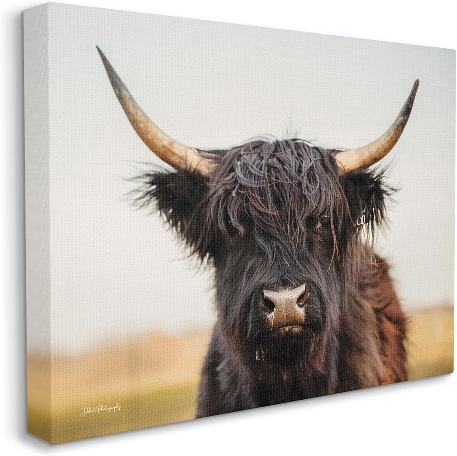 Stupell Industries Black Highland Cow Portrait, 30" x 24"