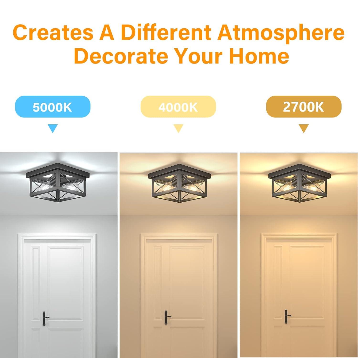 Pynsseu Flush Mount (Set of 2)