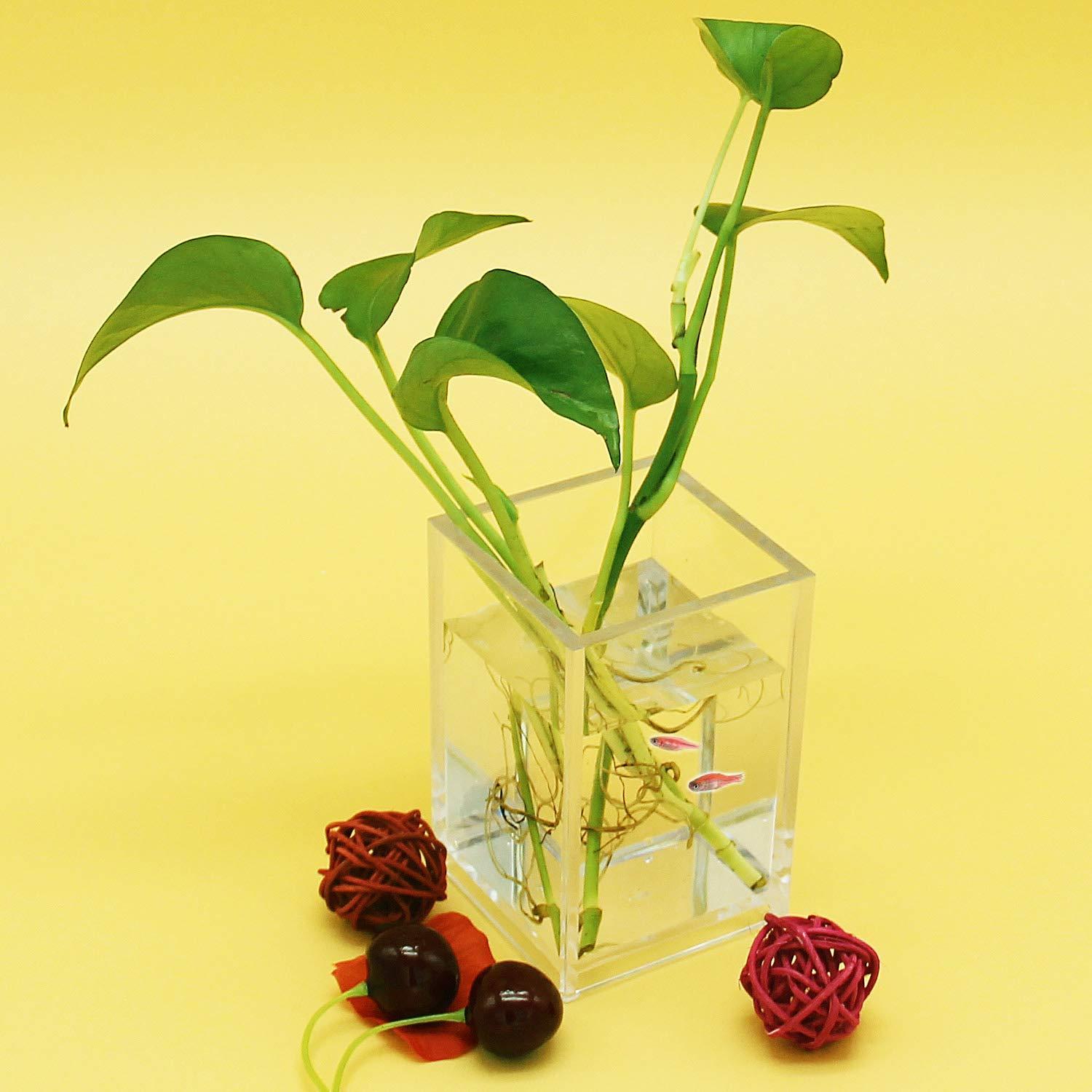 Pen Holder, 2 Pack Acrylic Pencil Holder for Desk, Pen Cups for Desk Supplies Holders, Clear Pencil Organizer for Toothbrush, Straw, Makeup Brush Holder, Home Office Desk Accessories