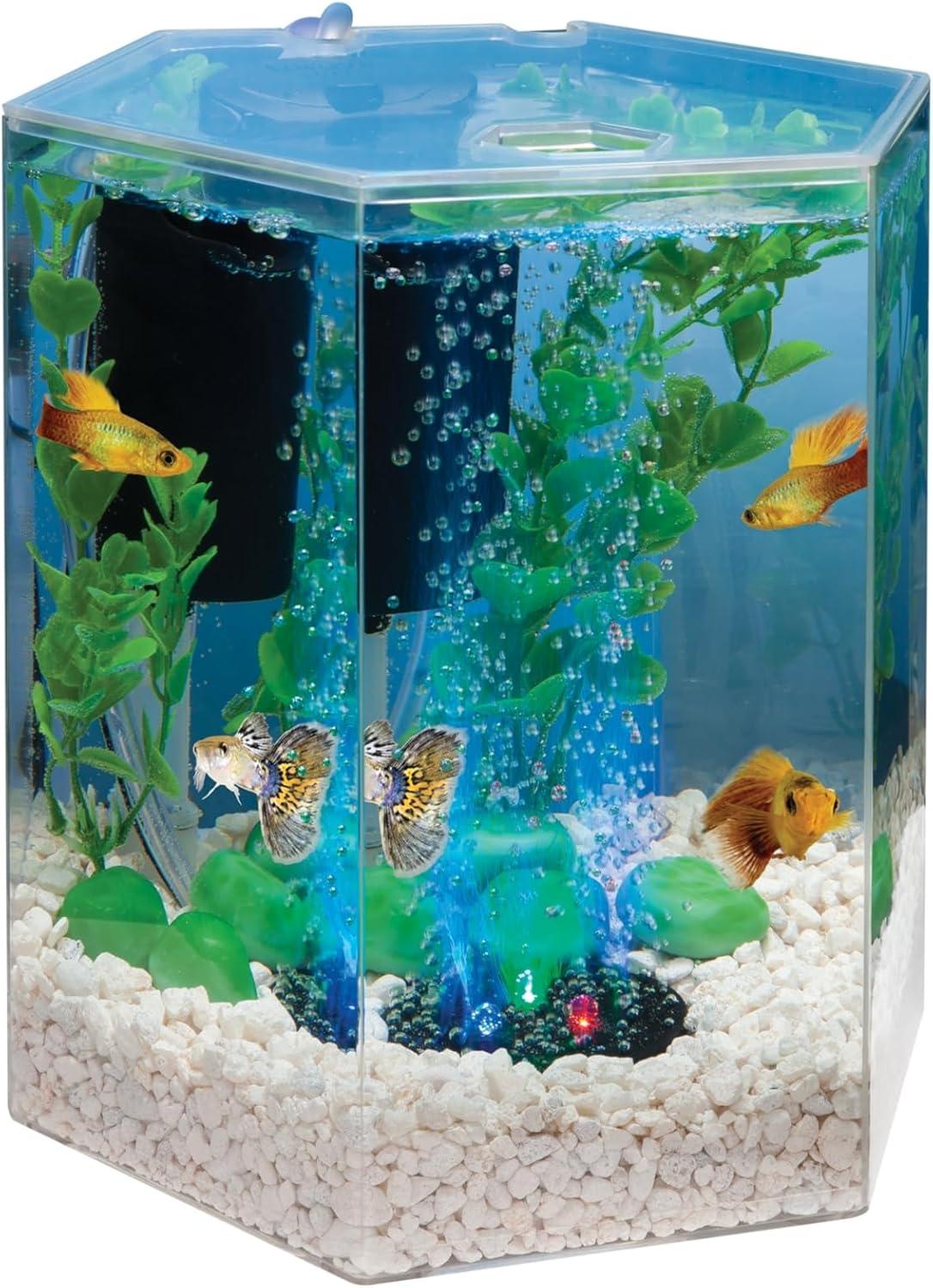 Tetra Bubbling LED Aquarium Kit 1gal Hexagon Shaped with Color-Changing Light Disc Aquarium Decor