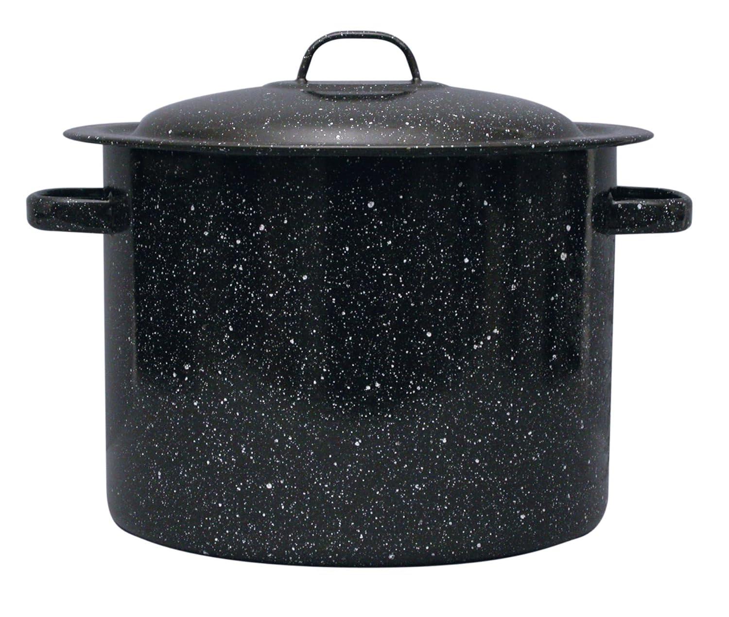 Eternal 12 qt. Non-Stick Carbon Steel Stock Pot with Lid & Reviews | Wayfair