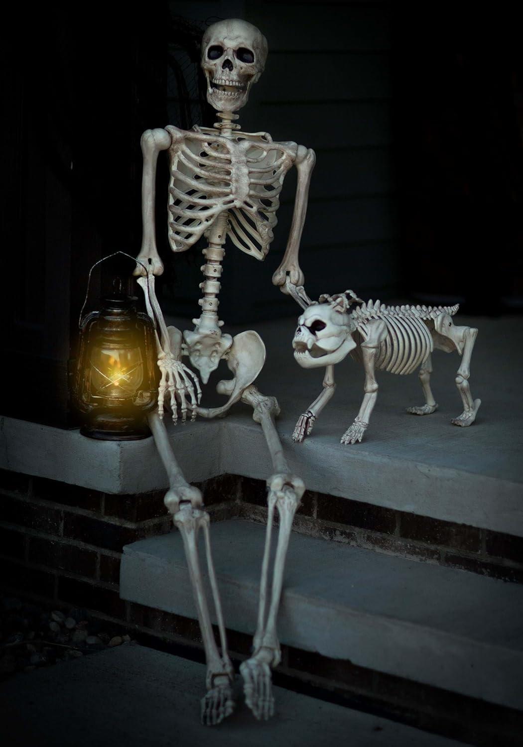 Crazy Bonez Pose-N-Stay Life Size 5 FT Skeleton with Realistic Posable and Movable Joints for Halloween Indoor and Outdoor Decoration