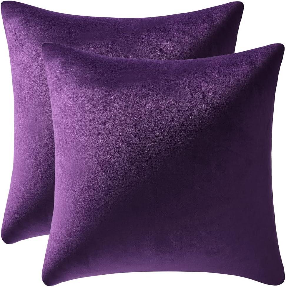 Nmkwnr 2 Pack Decorative Velvet Throw Pillow Covers Soft Solid Square Cushion Case for Sofa Bedroom Living Room, 20x20 inch