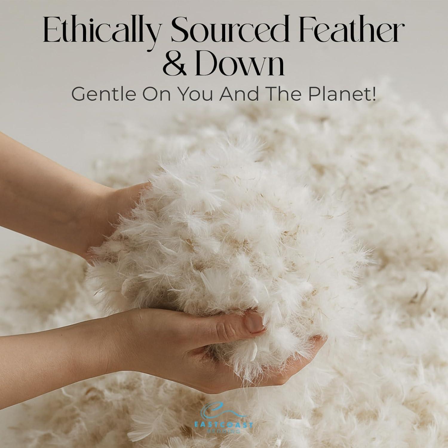 East Coast Bedding Cozy Dream Firm Goose Feather Down Pillow Support King Size Set of 2