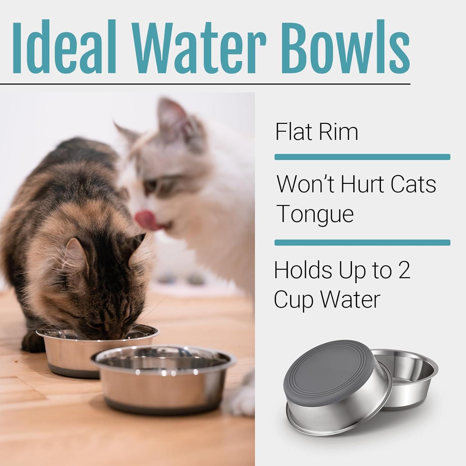 Stainless Steel Nonslip Cat Bowls with Rubber Bottom, 2-Pack