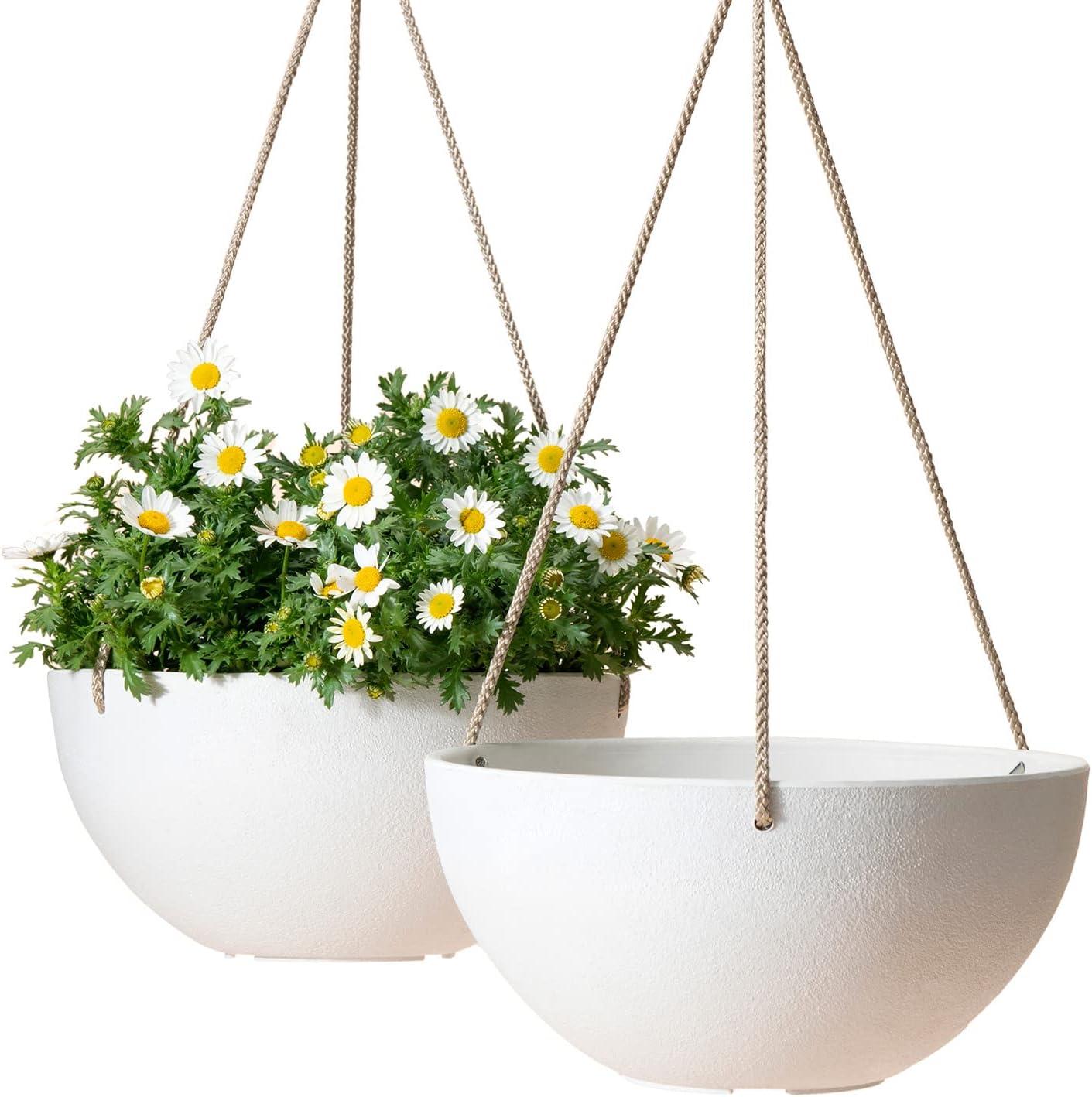 Boxdale Hanging Planter - Set of 2 (Set of 2)