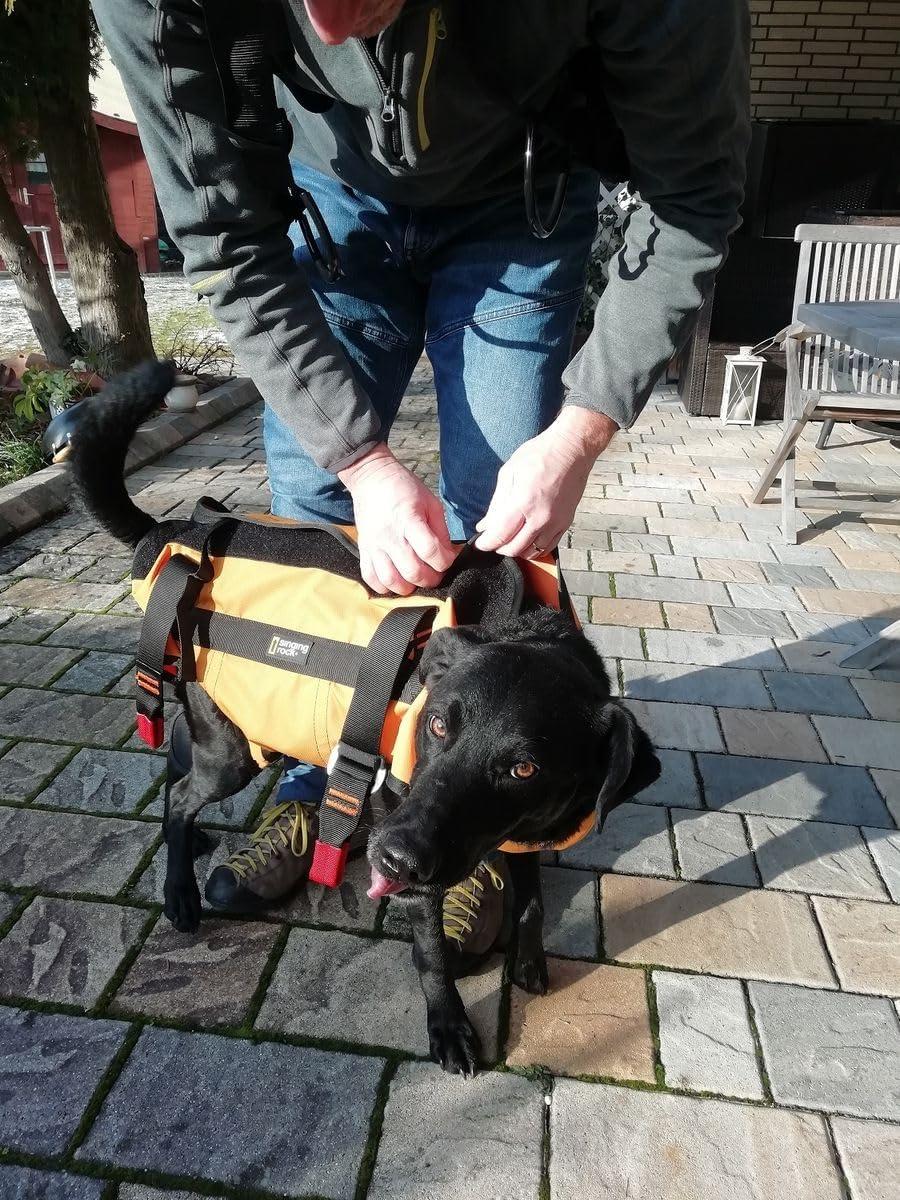 Small Orange Nylon Dog Rescue Harness with Adjustable Straps