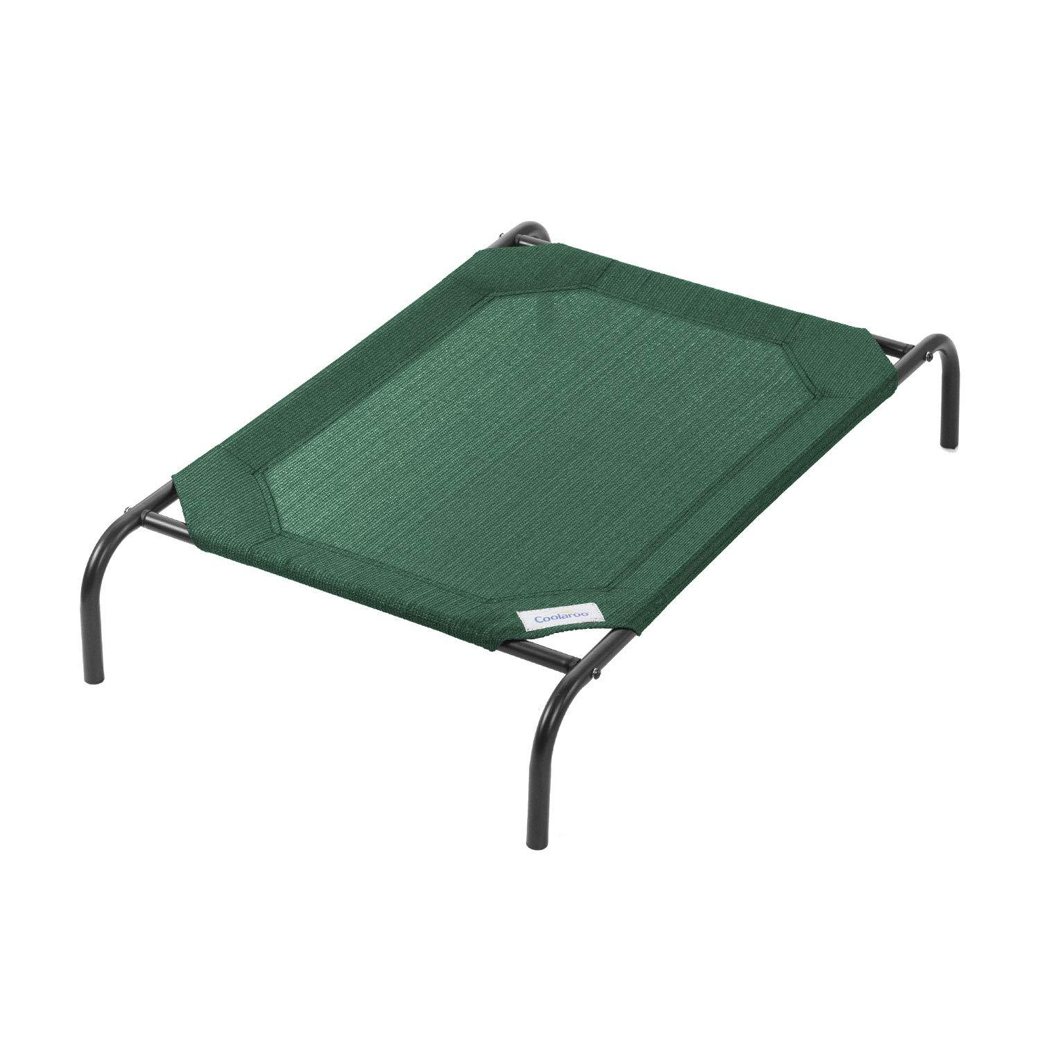 The Original Coolaroo Elevated Pet Dog Bed for Indoors & Outdoors, Medium, Green