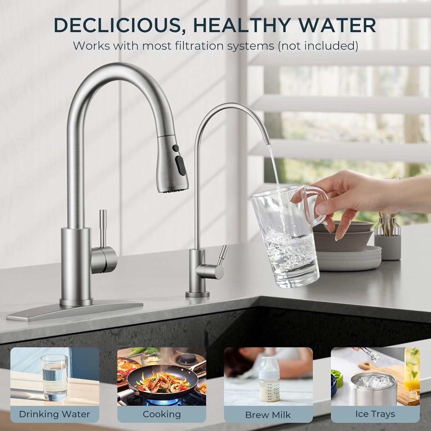 ARCORA ARCORA Stainless Steel Pull-Down Kitchen Faucet and Water Filter Faucet Combo AR7100301-L