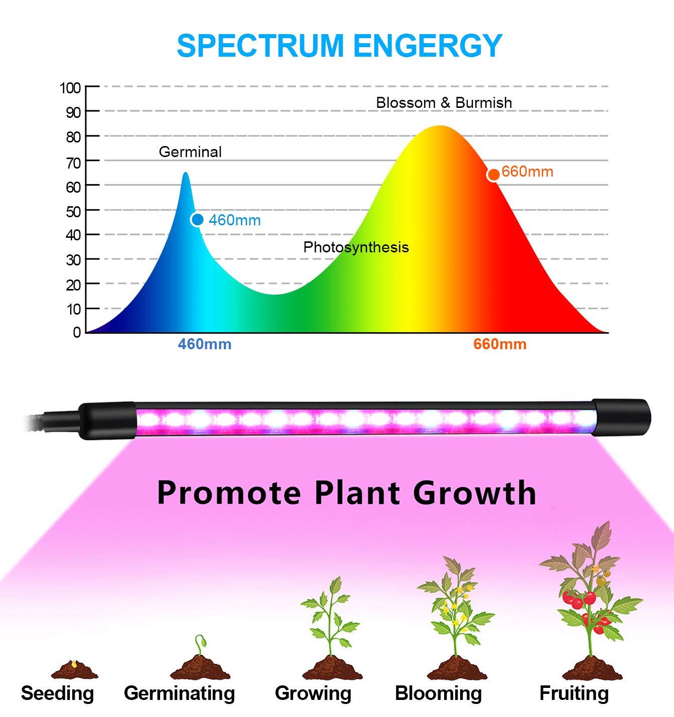 bseah Grow Light Plant Lights for Indoor Plants, Clip-On Full Spectrum Plant Grow Lights, Auto ON & Off Timer 3/9/12H, Dimmable Brightness & 3 Light Modes