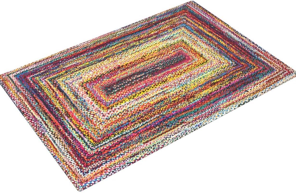 Nuloom Tammara Bohemian Hand Braided Indoor Area Rug