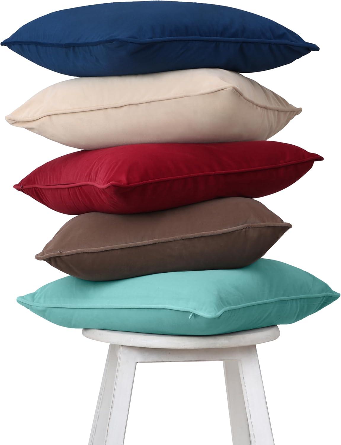 A1 Home Collections LLC Velvet Pillow Cover (Set of 2)