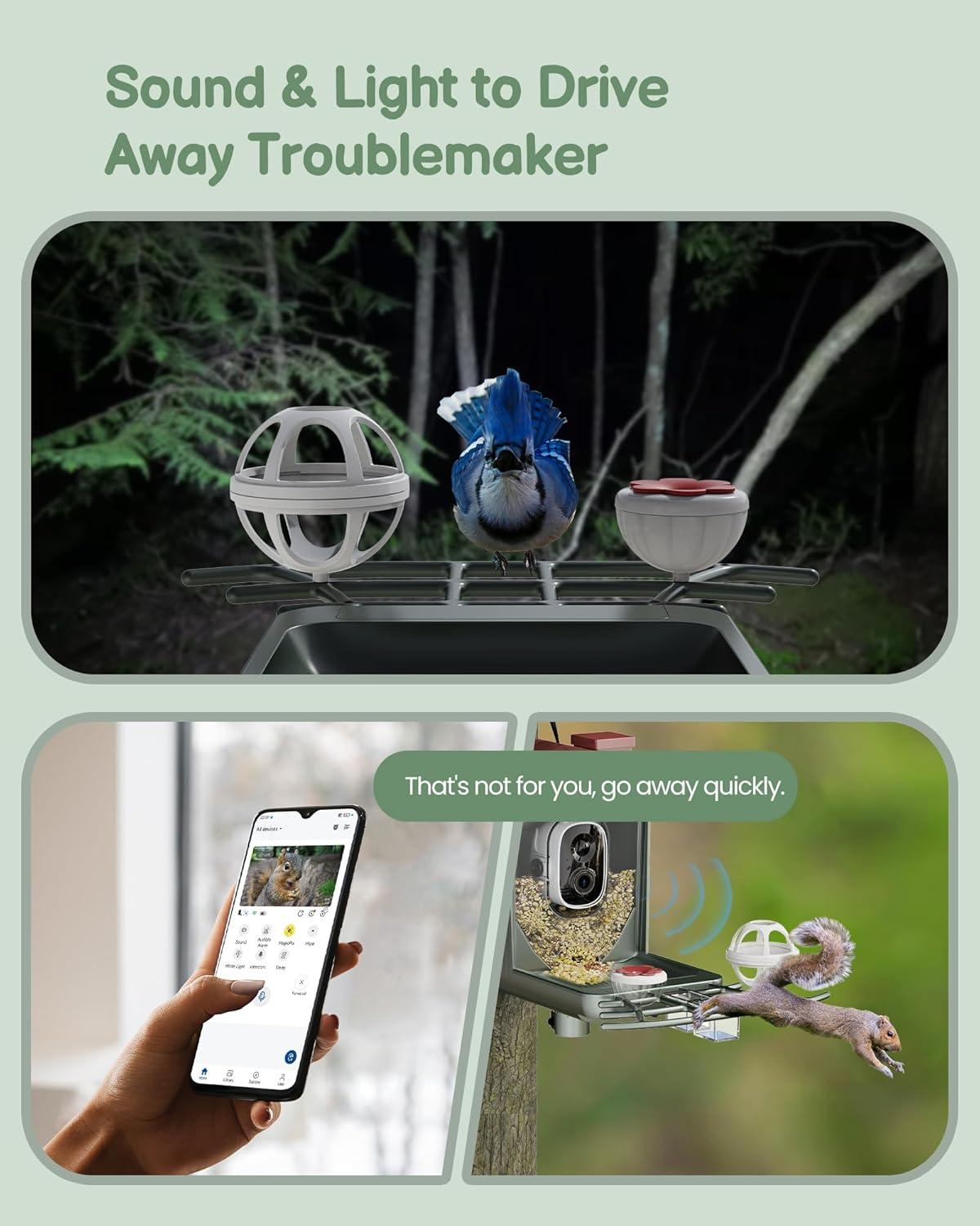 Solar-Powered Green and Red Bird Feeder with 2K HD Camera